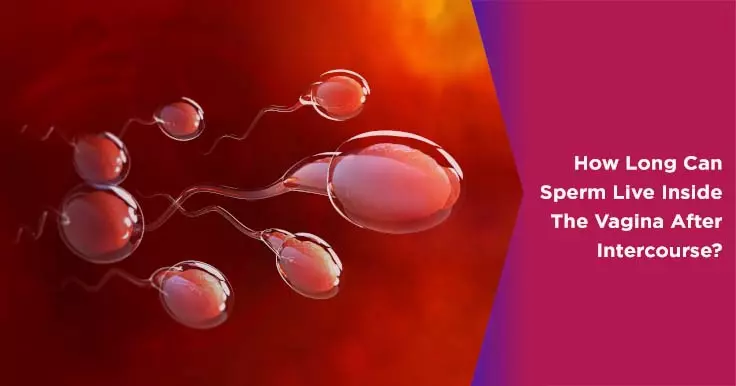 How Long Can Healthy Sperm Survive