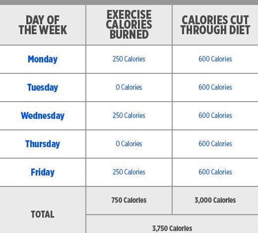 How Much Does Diet And Exercise Affect Weight Loss