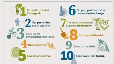 Benefits of Organic Food for Human Health