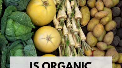 Is Organic Food Proven to Be Healthier