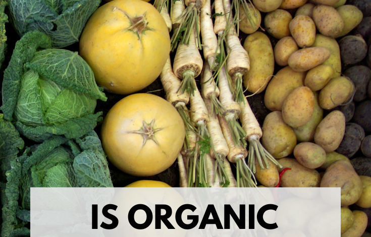 Is Organic Food Proven to Be Healthier