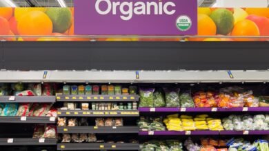 Why is Organic Food Healthy for Us