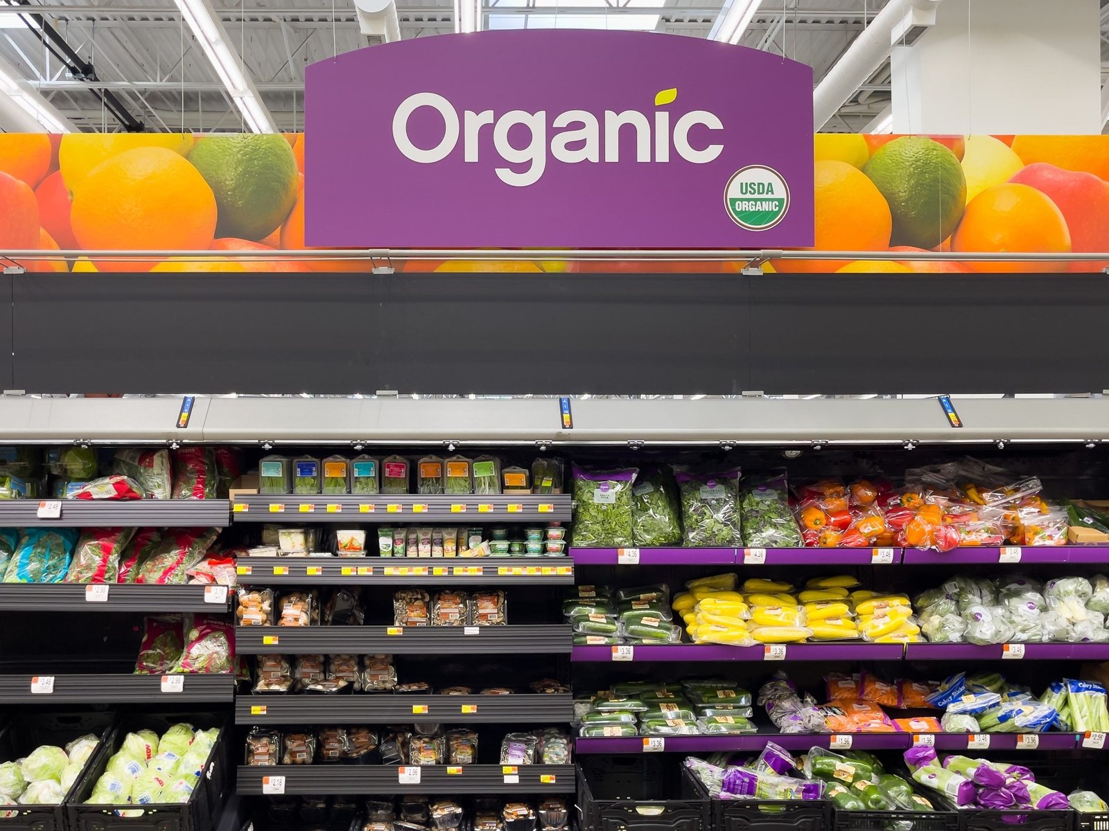 Why is Organic Food Healthy for Us