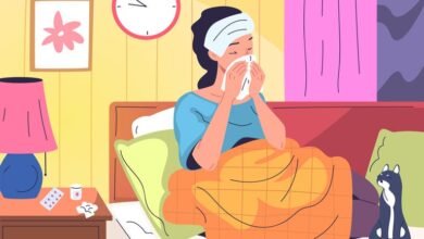 What to Eat During Seasonal Illness: Boost Recovery Fast